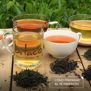 bitacotea